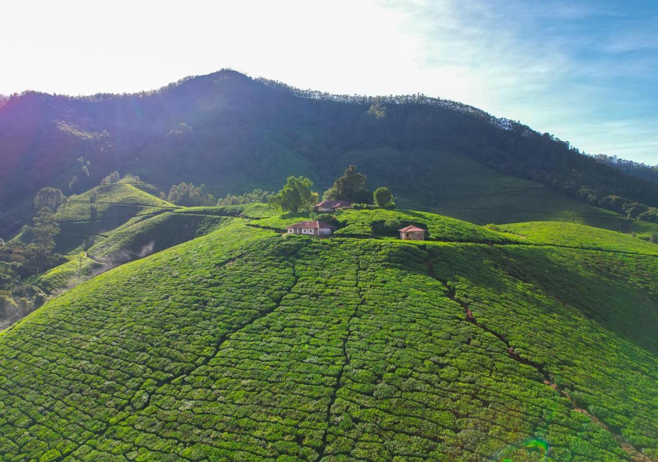 Arivikad Tea Bungalow Munnar By Voye Homes Suryanelli Εξωτερικό φωτογραφία